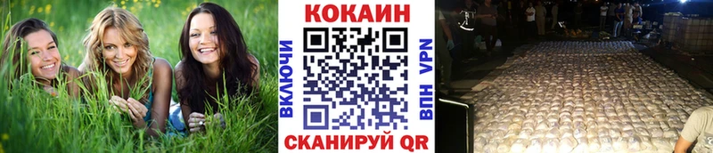 COCAIN 99%  сколько стоит  KRAKEN как войти  Качканар 