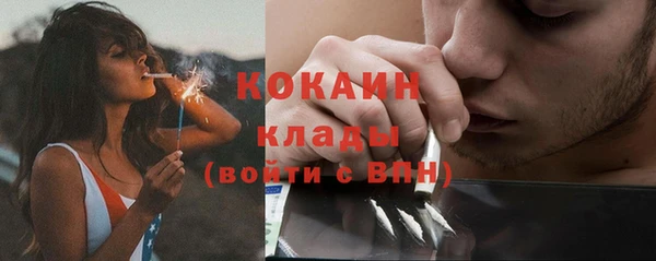 PSILOCYBIN Белокуриха